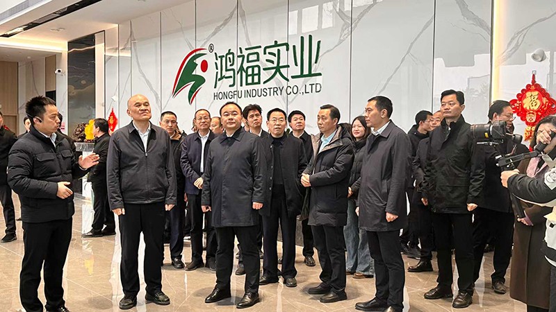感受发展“加速度”，衡阳市领导深入衡山县重大项目草莓视频网址实业现场观摩